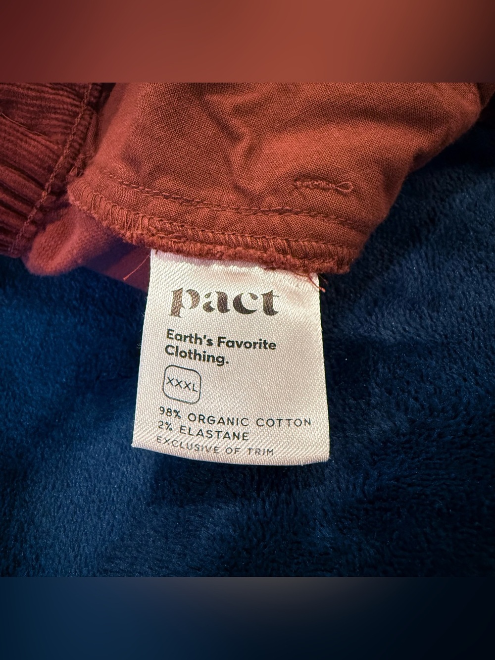 Pact Rust Corduroy Skirt - Picture 8 of 8